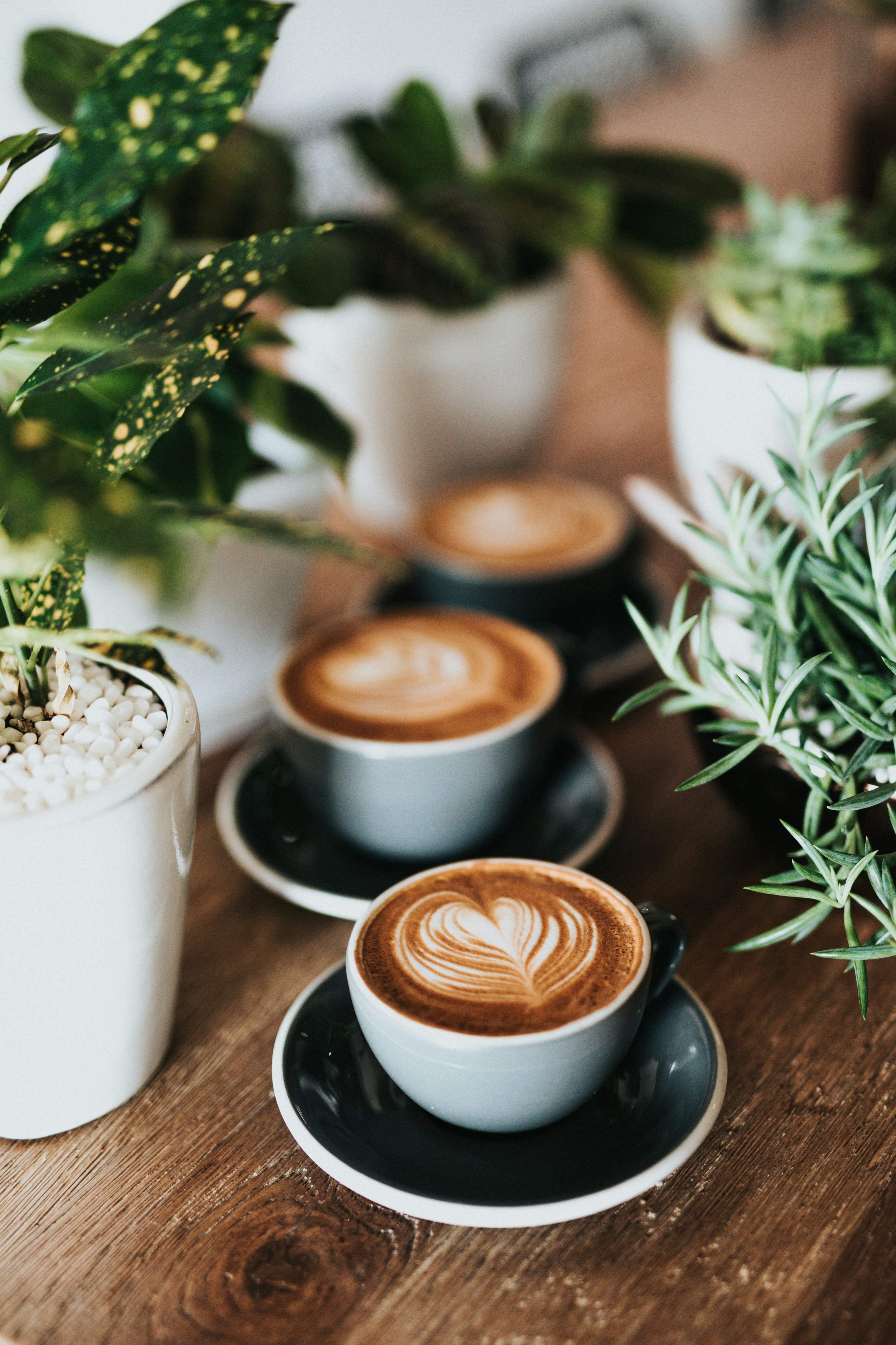 Seongsu Coffee Popup